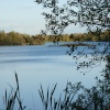 One of the many lakes at the reserve