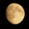 The moon