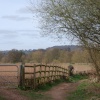 Walk along the Severn from Ribbesford to Bewdley