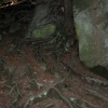 Falling Foss