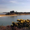 Arne Nature Reserve in Dorset