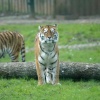 Longleat