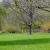 College grounds, Cottingham