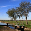 Branston Lock