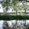Chelmer and Blackwater Navigation, beside Ulting Church