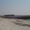 The Cobb