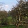 The Darnley Mausoleum, Cobham Hall, Kent