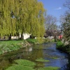 The River Cerne in Dorset