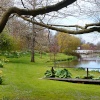 Springhead Gardens, Fontmell Magna