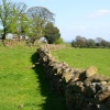 Written Stone Lane