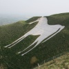 Westbury White Horse