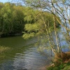 Foremark Reservoir