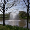 Cheadle