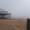 Foggy beach 1