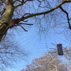 Burton Agnes Hall 5