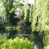 The duck pond, Ruislip