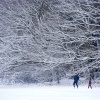 Snow, Eastcote village