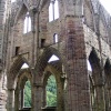 Tintern Abbey