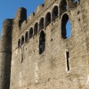 Swansea Castle