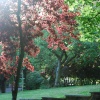 Haden Hill Park