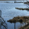 Lakes in the Cuckmere Estuary