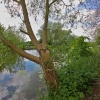 Beverley Beck005