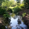 Stunning stream