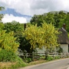 Plush, in Dorset