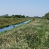 Thurlby Fen