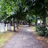 The 12th century stone road.
