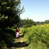 Nice place for a walk.