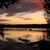 Delamere Sunset June 2009