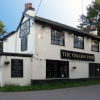 The Golden Lion