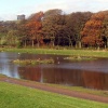 An autumn scene in Herrington Country Park