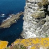 Marwick head