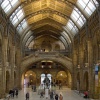 Natural History Museum
