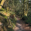 Llanberis area 007