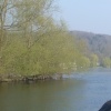 The Thames at Henley