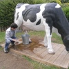 Milking time