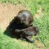 Inspection at the Wild Life Park