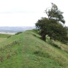 Burrough Hill Fort