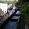 Fish Ladder