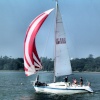 On the River Orwell