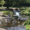 River Lin