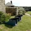 Cannons.