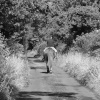 Horse and rider
