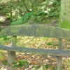 Boggy Wood, Claughton