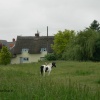 Thatched houses in Wortham