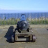 Cannon