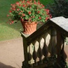 Bottom of the steps at Powis Castle